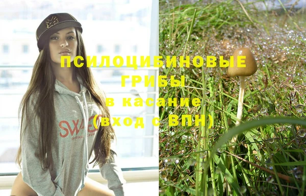 прущая мука Белокуриха