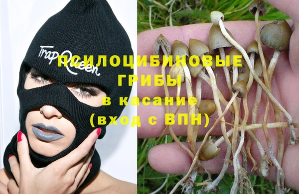 ГАЛЛЮЦИНОГЕННЫЕ ГРИБЫ Беломорск