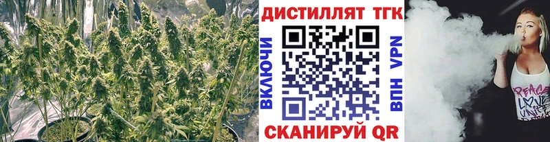 Купить закладки  Удачный  Дистиллят ТГК вейп 