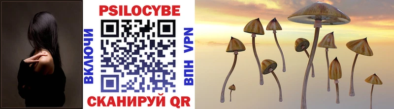Купить  Удачный  Псилоцибиновые грибы Psilocybe 